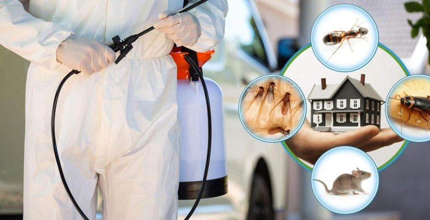 Gülyalı Böcek İlaçlama