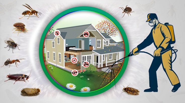 Gülyalı Böcek İlaçlama