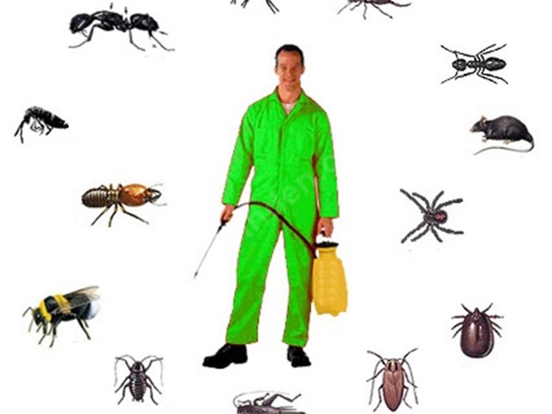 Gülyalı Böcek İlaçlama